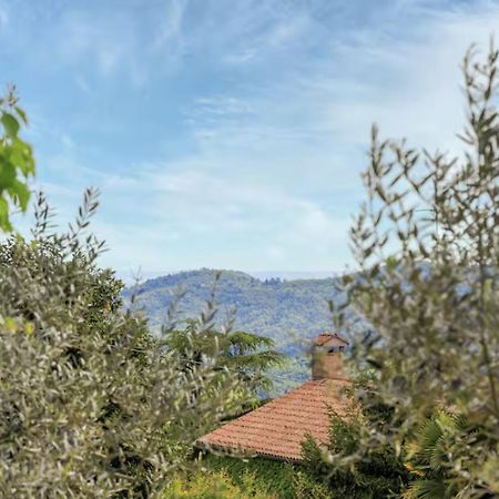 Elegante Appartamento Con Vista - Colli Euganei Теоло Экстерьер фото